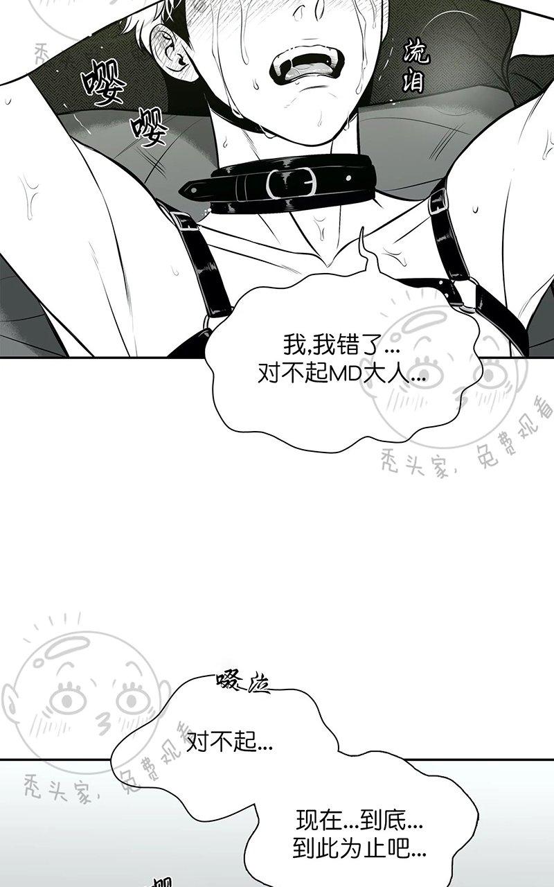 《BJ Alex》漫画最新章节 外传07 免费下拉式在线观看章节第【71】张图片