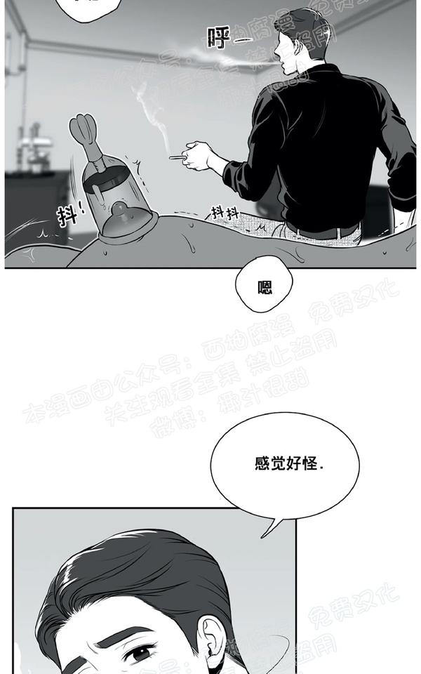 《BJ Alex》漫画最新章节 外传03 免费下拉式在线观看章节第【38】张图片