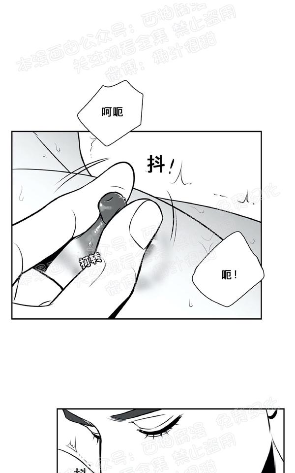 《BJ Alex》漫画最新章节 外传03 免费下拉式在线观看章节第【53】张图片