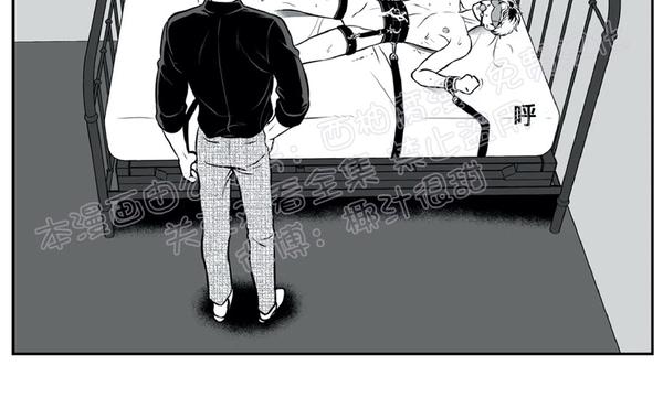 《BJ Alex》漫画最新章节 外传03 免费下拉式在线观看章节第【62】张图片