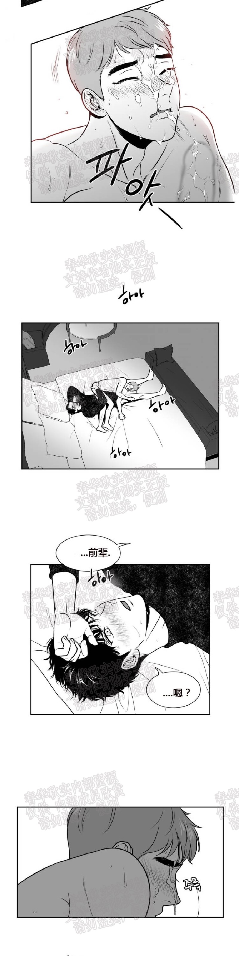 《BJ Alex》漫画最新章节第65话免费下拉式在线观看章节第【20】张图片