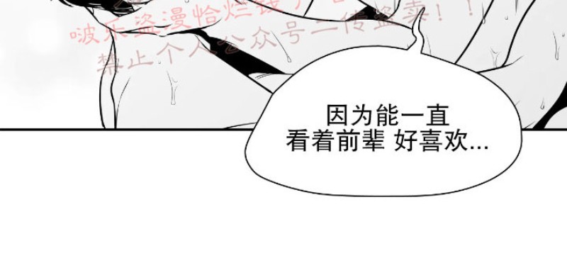 《BJ Alex》漫画最新章节第66话免费下拉式在线观看章节第【21】张图片