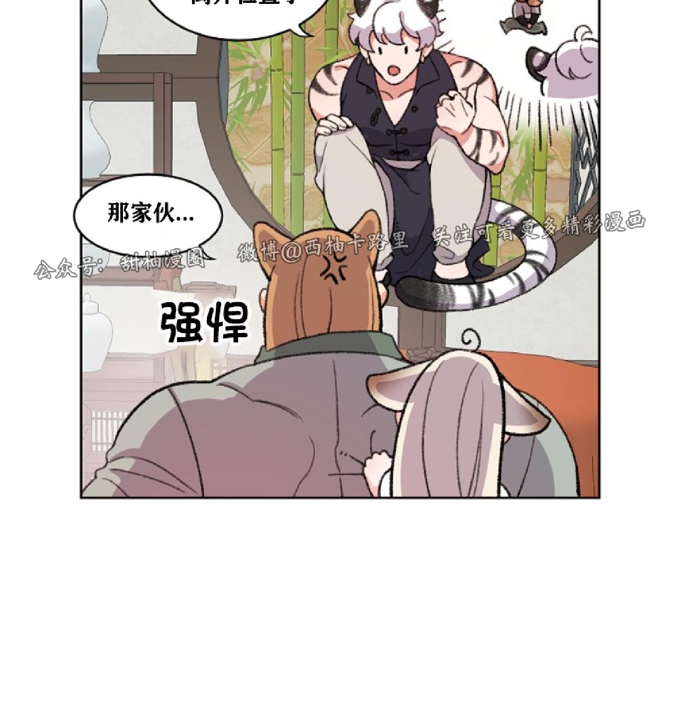 《虎郎传/狐狸与狼/狐狸传说》漫画最新章节第49话免费下拉式在线观看章节第【4】张图片