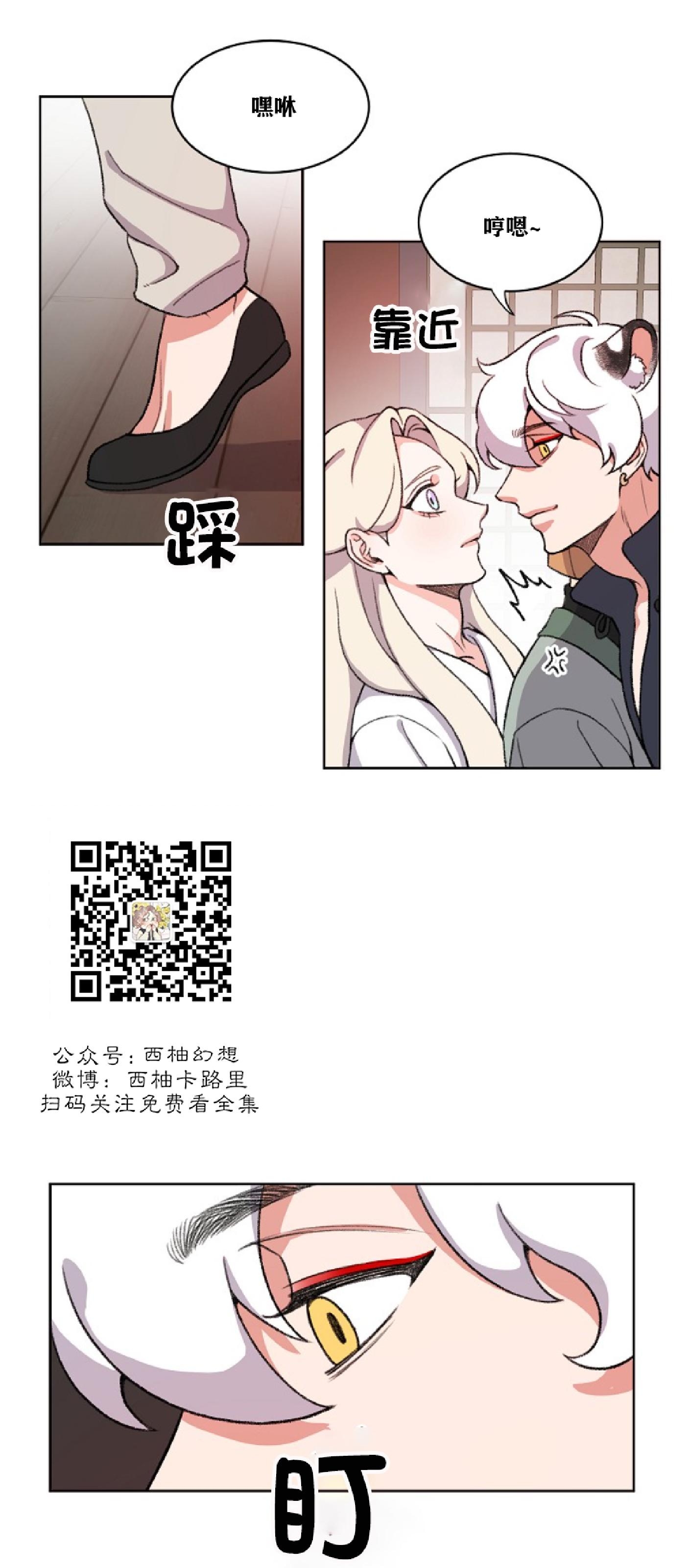 《虎郎传/狐狸与狼/狐狸传说》漫画最新章节第49话免费下拉式在线观看章节第【5】张图片