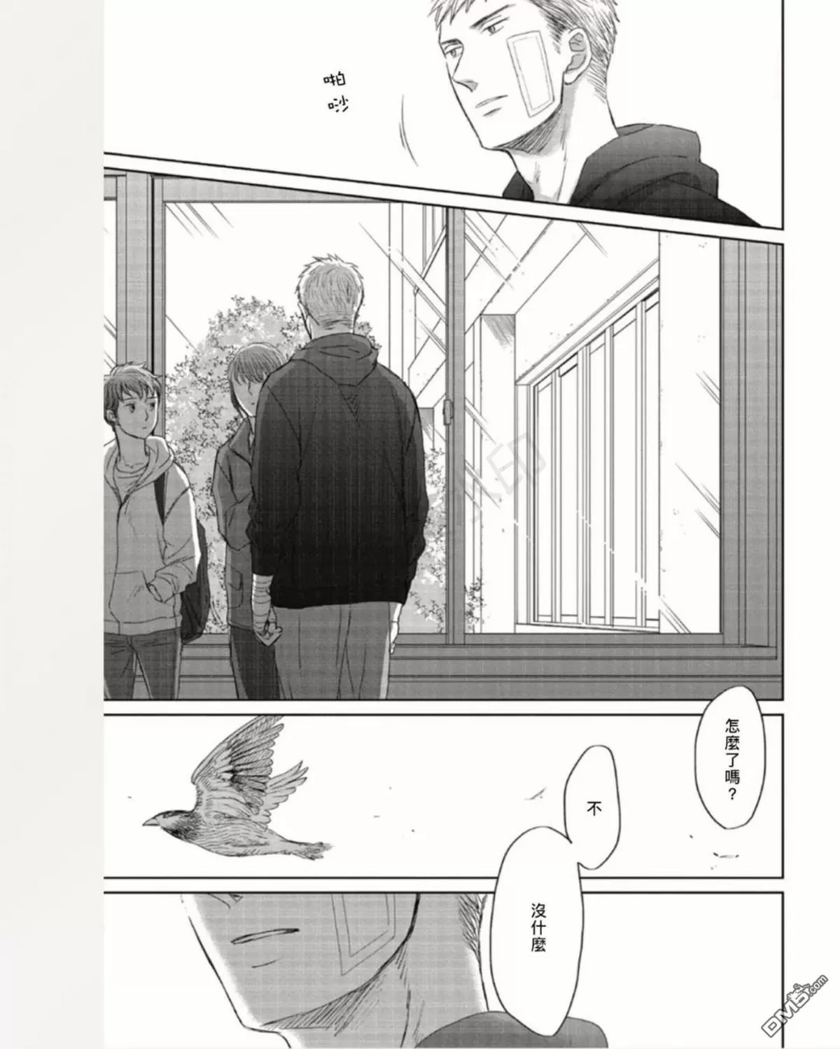 《鸣鸟不飞》漫画最新章节 第35话 免费下拉式在线观看章节第【35】张图片