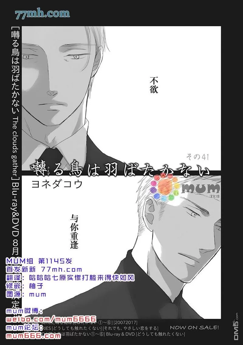 《鸣鸟不飞》漫画最新章节第41话免费下拉式在线观看章节第【1】张图片