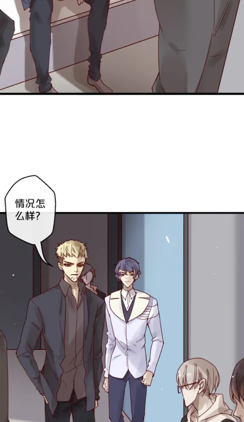 《不小心撩到了亿万首席》漫画最新章节第35-42话免费下拉式在线观看章节第【142】张图片