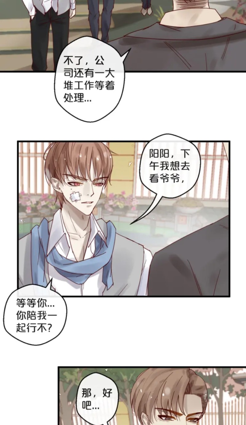 《不小心撩到了亿万首席》漫画最新章节第35-42话免费下拉式在线观看章节第【215】张图片