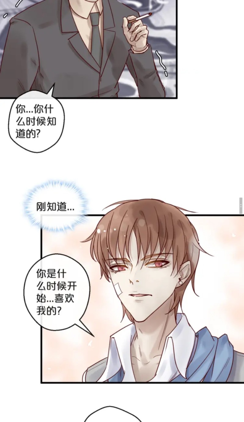 《不小心撩到了亿万首席》漫画最新章节第35-42话免费下拉式在线观看章节第【244】张图片