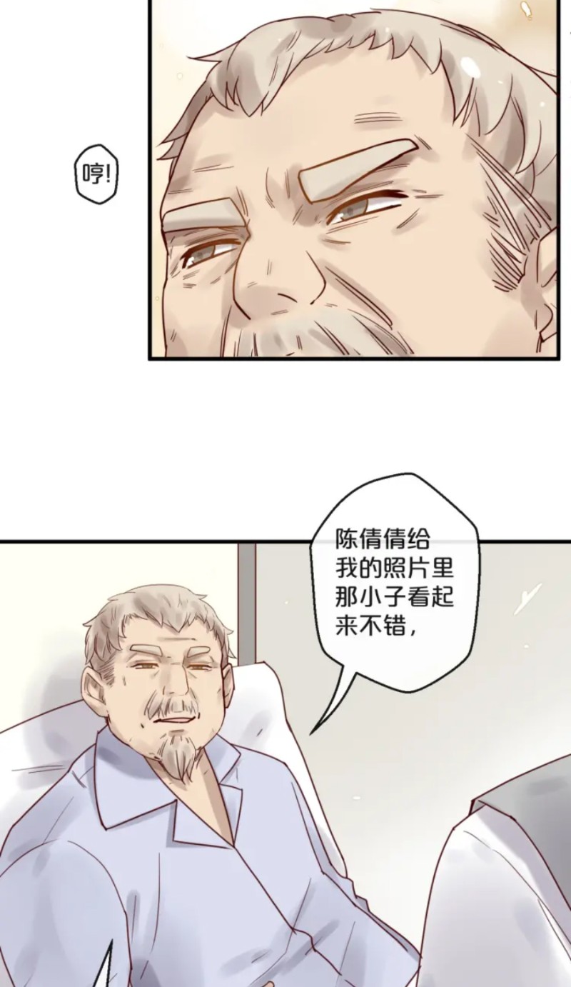 《不小心撩到了亿万首席》漫画最新章节第35-42话免费下拉式在线观看章节第【255】张图片