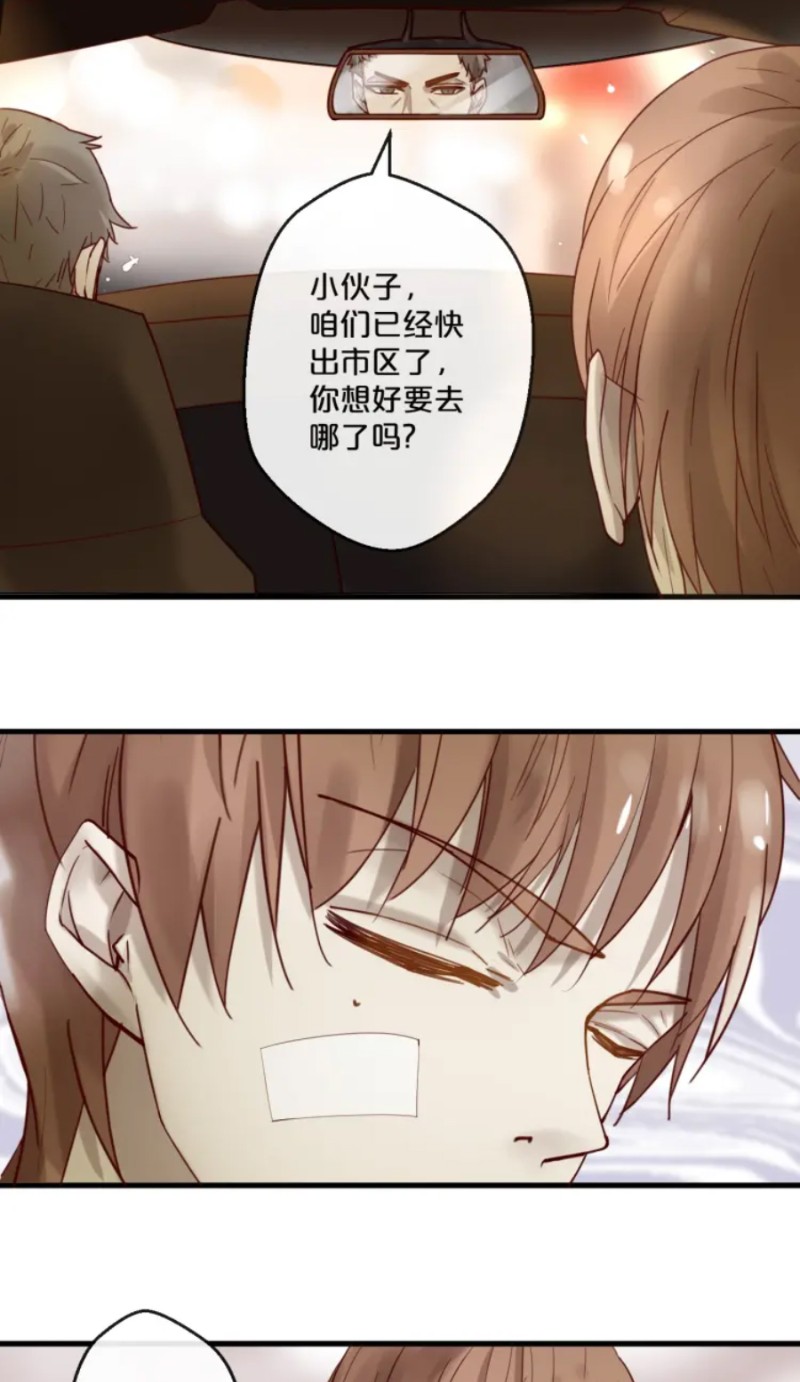 【不小心撩到了亿万首席[耽美]】漫画-（第51-58话）章节漫画下拉式图片-第183张图片