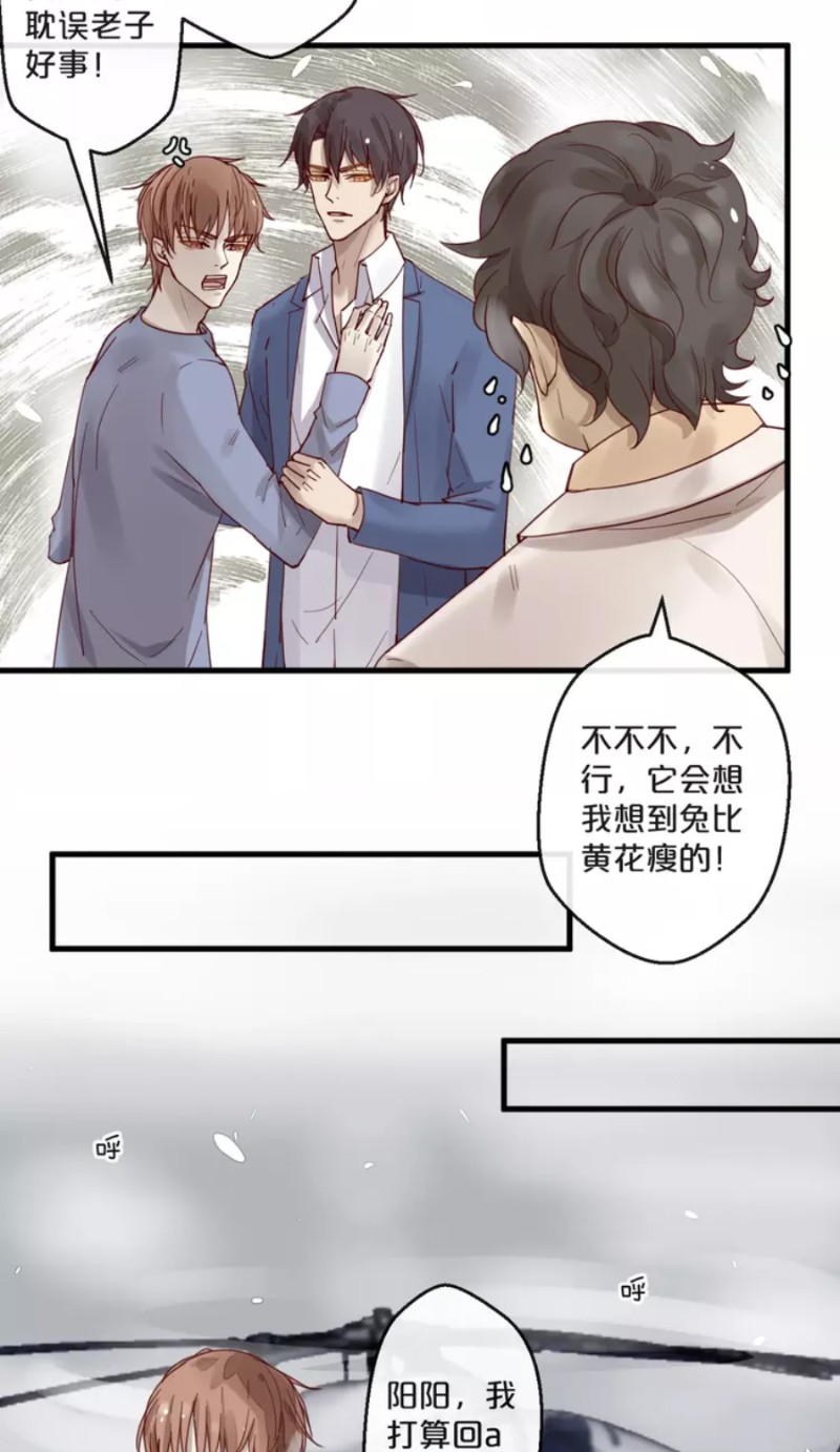 《不小心撩到了亿万首席》漫画最新章节第59话 完结免费下拉式在线观看章节第【76】张图片