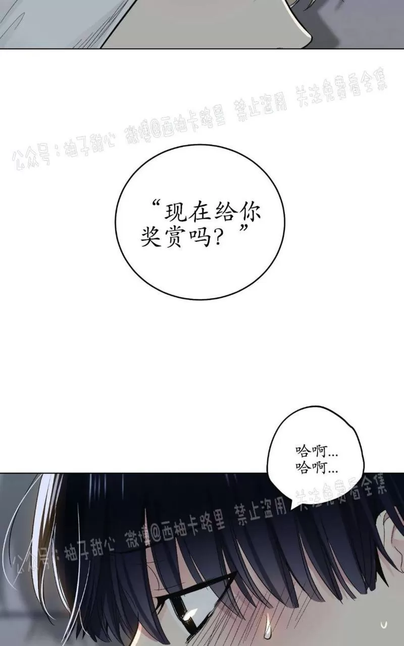 《耻辱应用程序》漫画最新章节第59话正篇番外1免费下拉式在线观看章节第【31】张图片