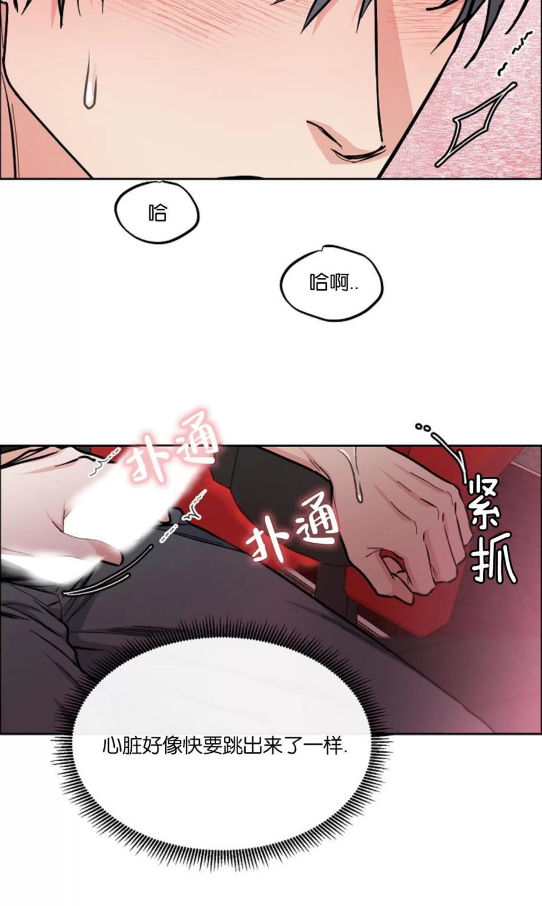 《是否订阅？/请君上船》漫画最新章节第79话免费下拉式在线观看章节第【15】张图片