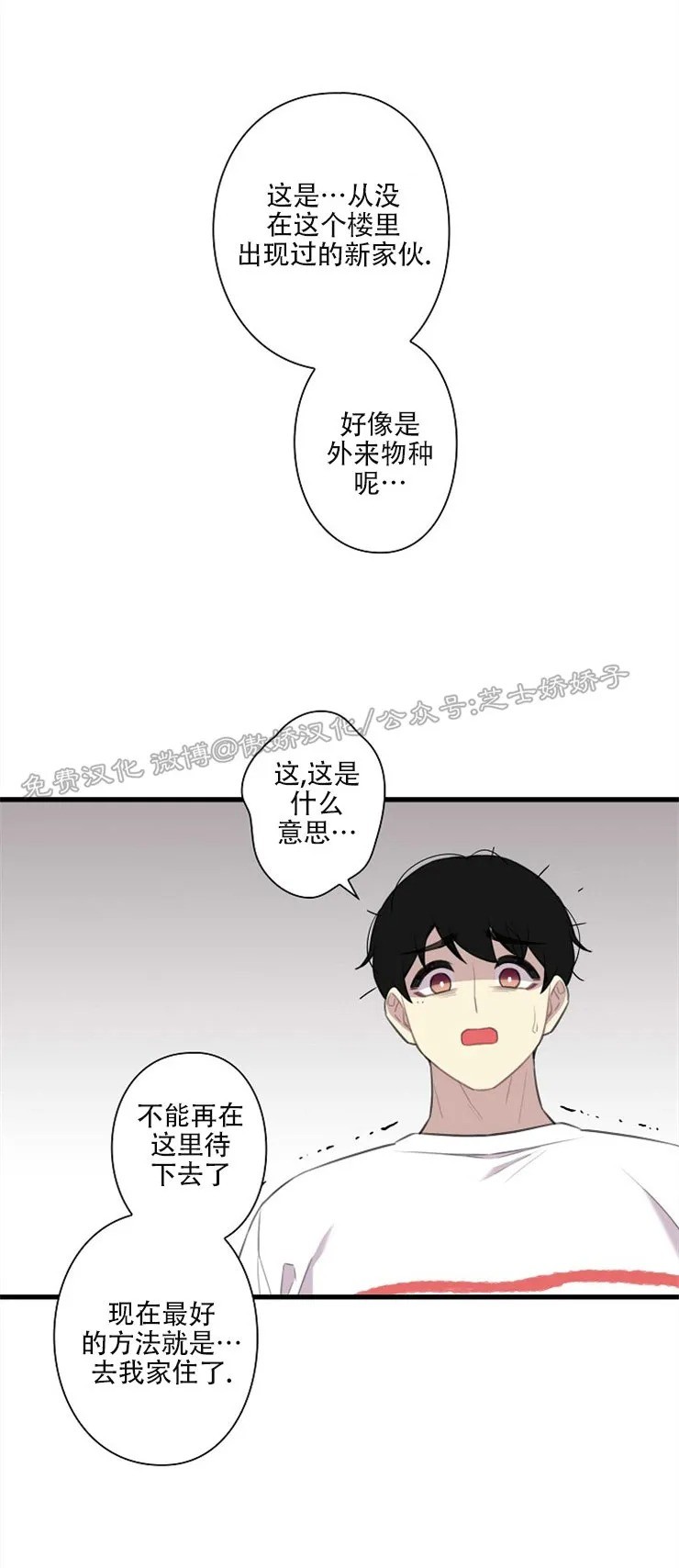 《陷阱/恋爱杀虫剂》漫画最新章节第27话 完免费下拉式在线观看章节第【35】张图片