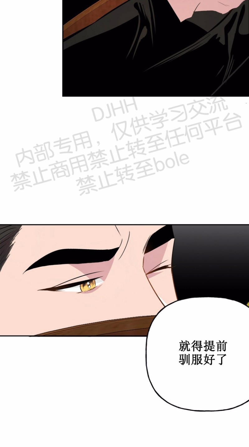 《疯子套装组合/疯子恋爱同盟》漫画最新章节第8话免费下拉式在线观看章节第【13】张图片