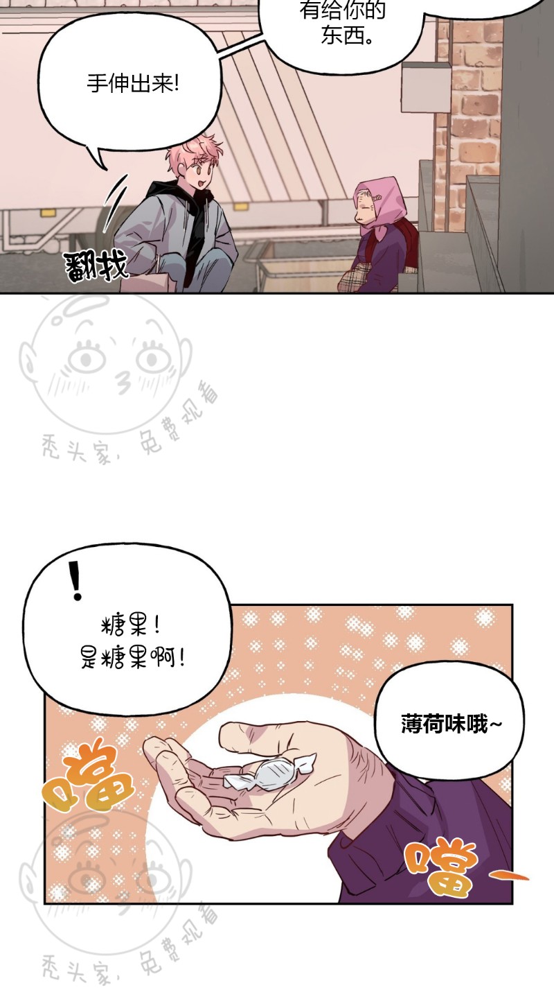 《疯子套装组合/疯子恋爱同盟》漫画最新章节第1话免费下拉式在线观看章节第【12】张图片