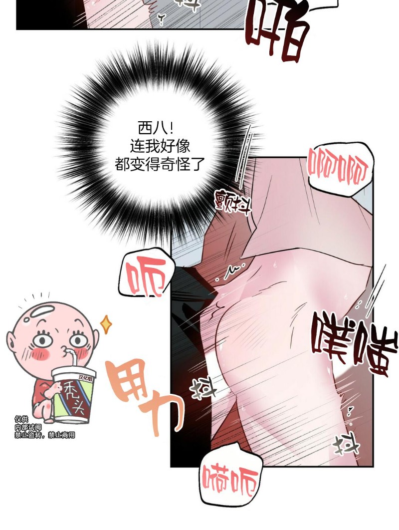 《疯子套装组合/疯子恋爱同盟》漫画最新章节第20话免费下拉式在线观看章节第【18】张图片