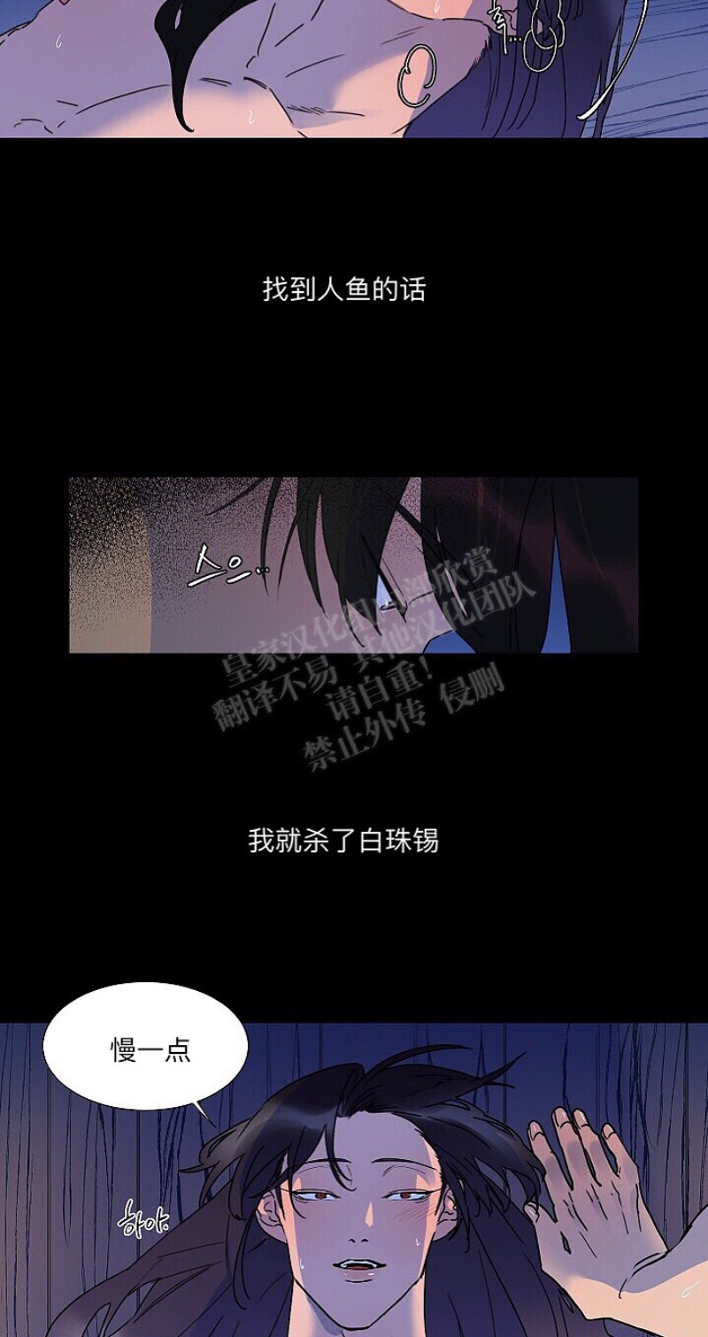 《人鱼传说/泅水之箭/游箭》漫画最新章节第13话免费下拉式在线观看章节第【12】张图片