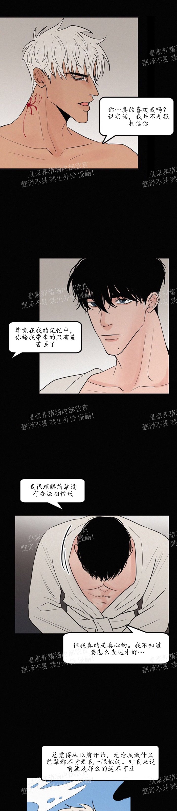 《爱不是真的/爱情的刀刃》漫画最新章节第19话免费下拉式在线观看章节第【5】张图片