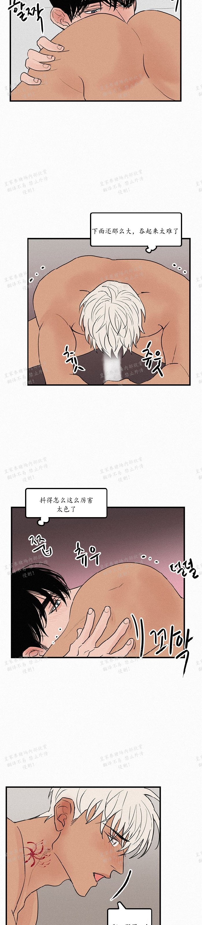 《爱不是真的/爱情的刀刃》漫画最新章节番外1-4免费下拉式在线观看章节第【20】张图片