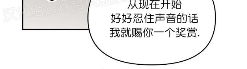 《老虎花/老虎的诅咒》漫画最新章节第07话免费下拉式在线观看章节第【39】张图片