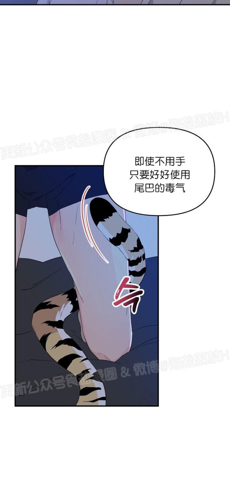 《老虎花/老虎的诅咒》漫画最新章节第11话免费下拉式在线观看章节第【2】张图片