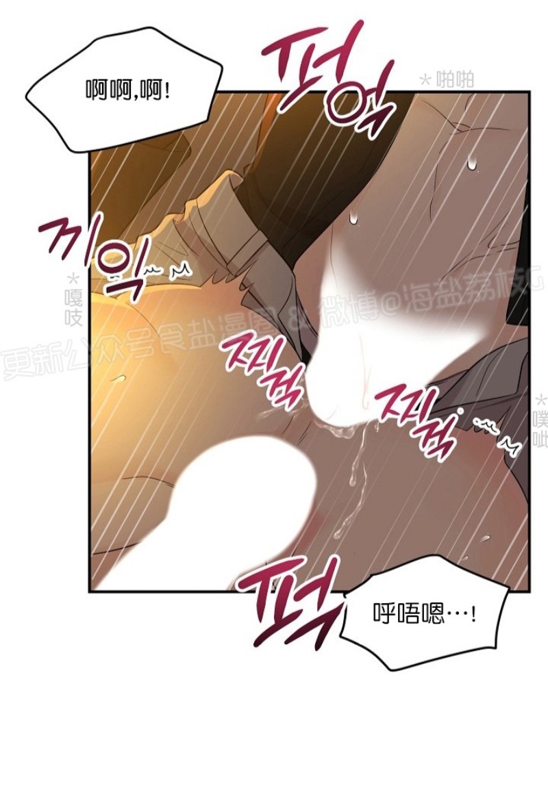 《老虎花/老虎的诅咒》漫画最新章节第29话免费下拉式在线观看章节第【14】张图片