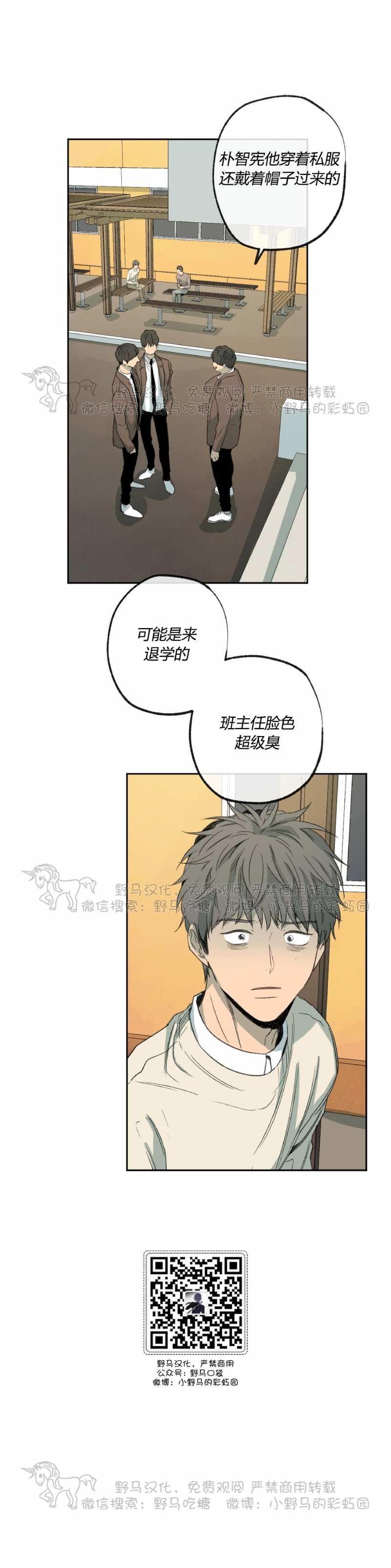 《同情的形态/同情的形式》漫画最新章节第50话免费下拉式在线观看章节第【2】张图片