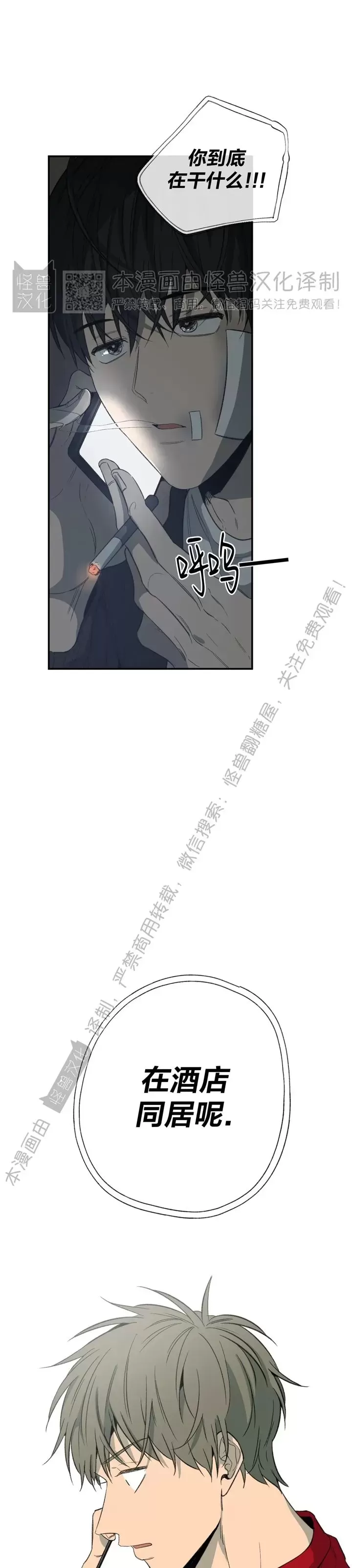 《同情的形态/同情的形式》漫画最新章节番外2免费下拉式在线观看章节第【2】张图片