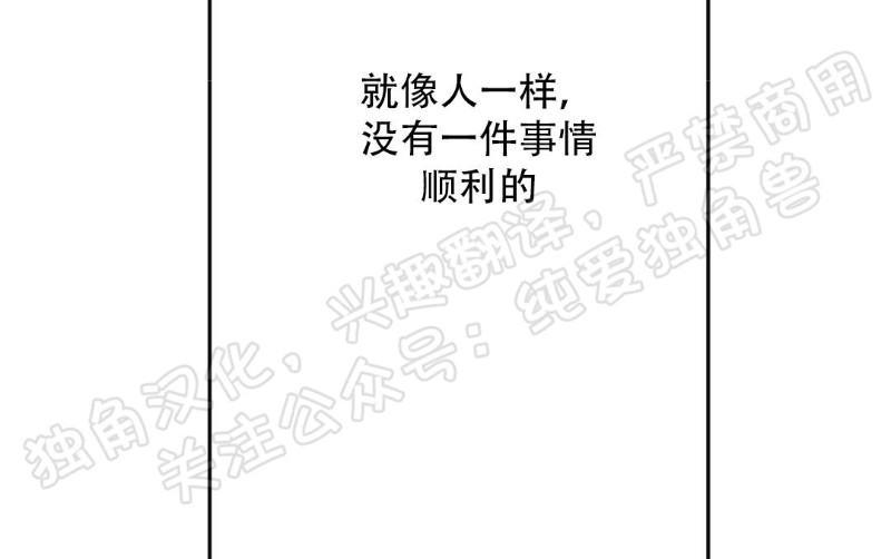 《同情的形态/同情的形式》漫画最新章节第30话免费下拉式在线观看章节第【13】张图片