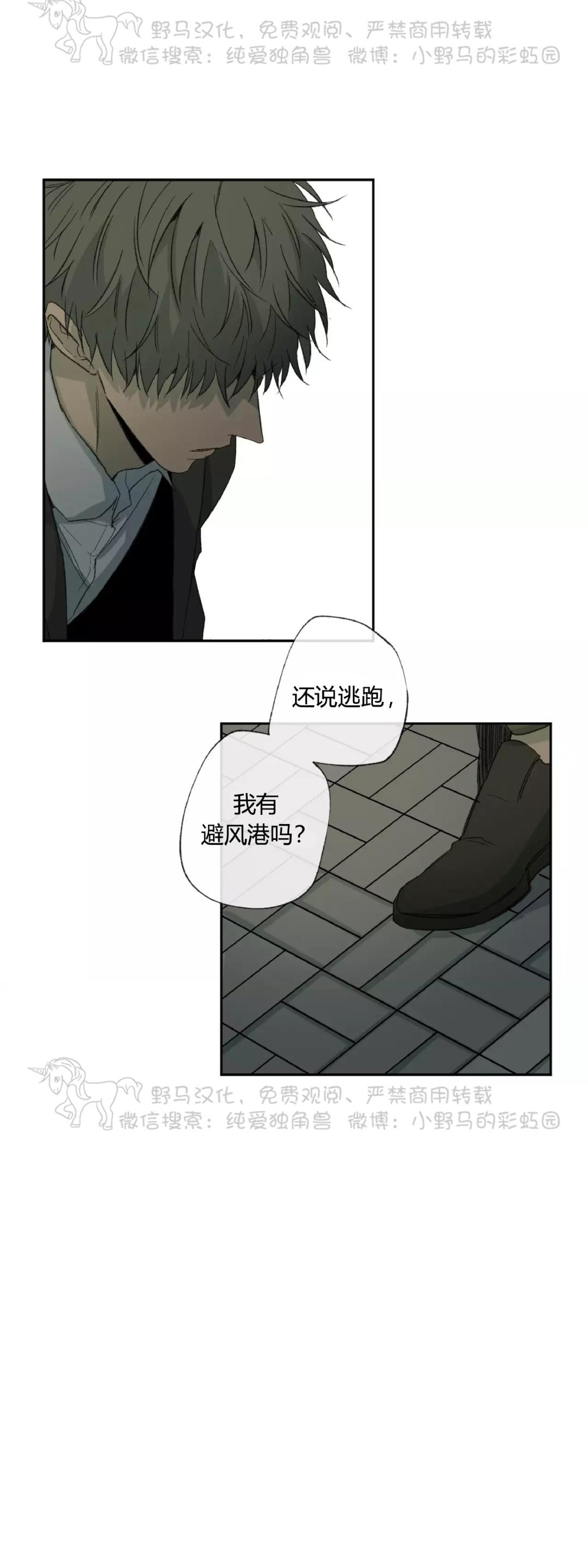 《同情的形态/同情的形式》漫画最新章节第35话免费下拉式在线观看章节第【65】张图片