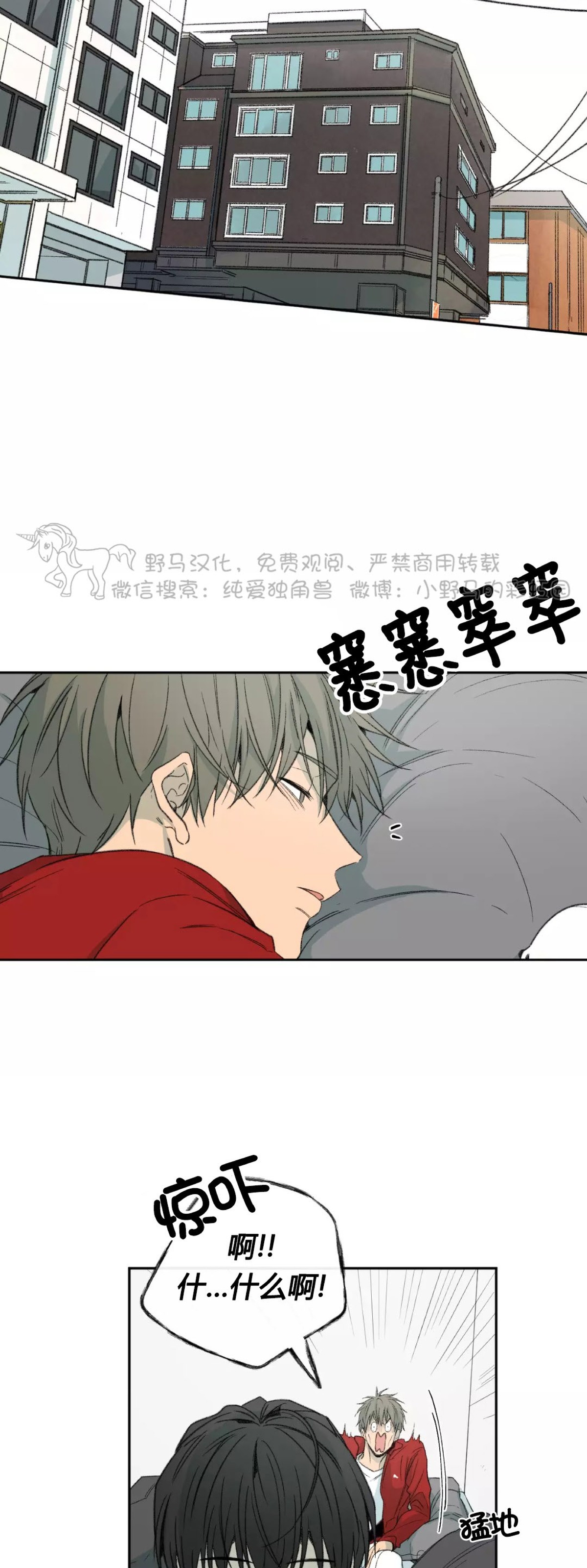 《同情的形态/同情的形式》漫画最新章节第40话免费下拉式在线观看章节第【20】张图片