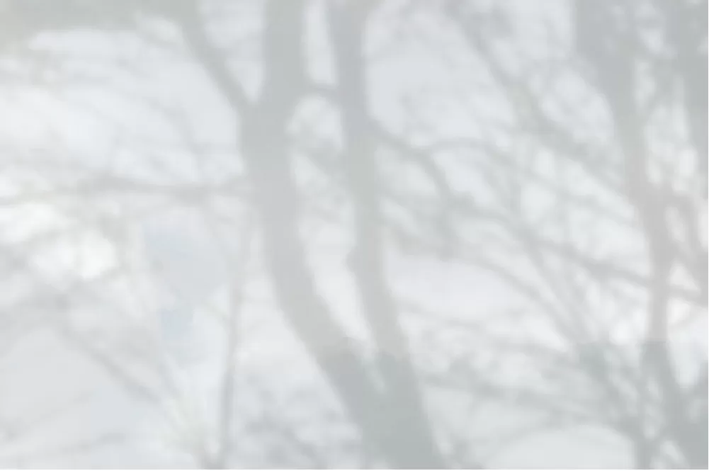 《PASSION》漫画最新章节第86话免费下拉式在线观看章节第【6】张图片