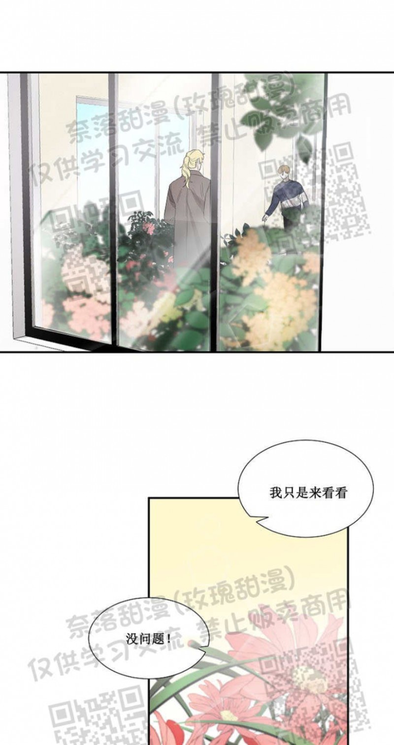 《常青》漫画最新章节第09话免费下拉式在线观看章节第【8】张图片