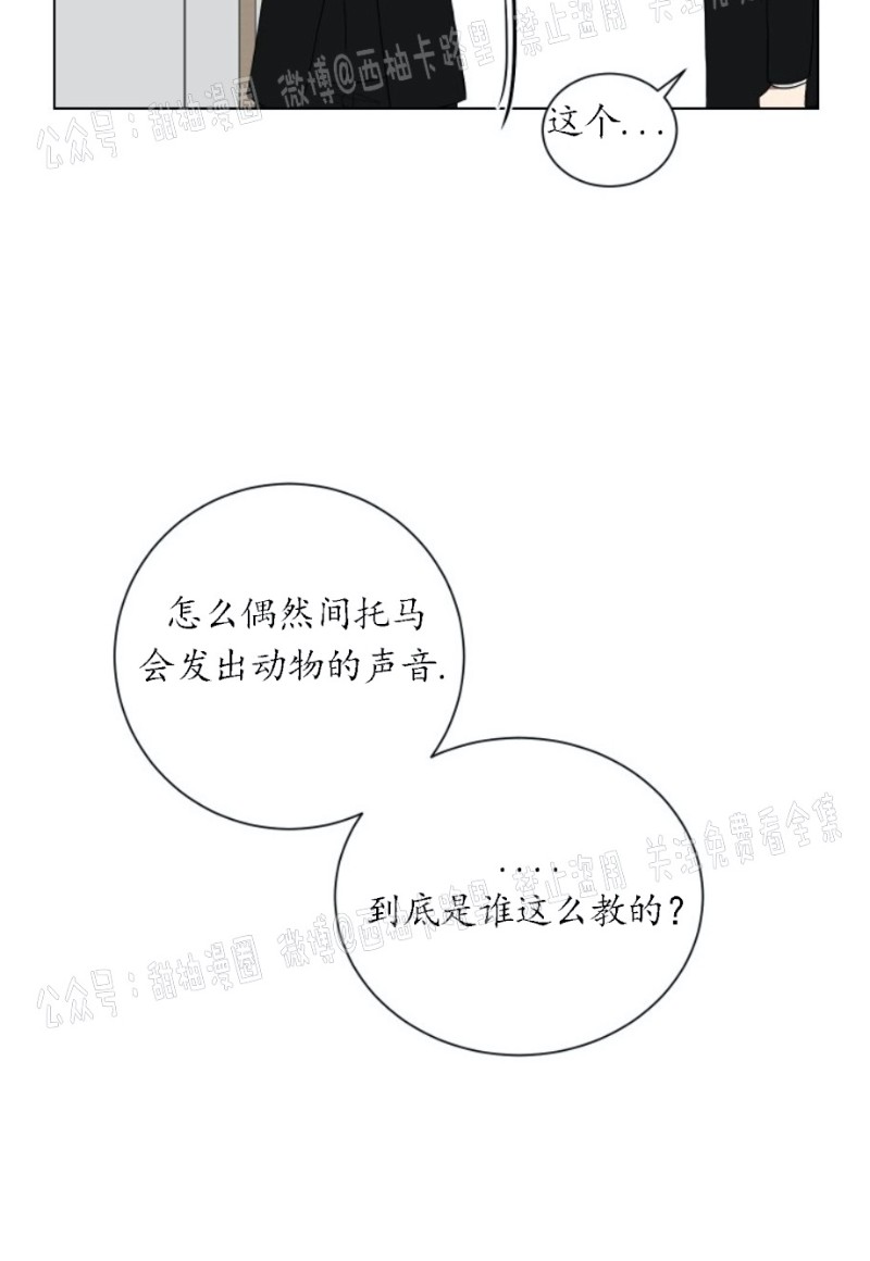 《我被大佬圈养了/如果和大哥恋爱/如果与帮派相恋》漫画最新章节第05话免费下拉式在线观看章节第【24】张图片