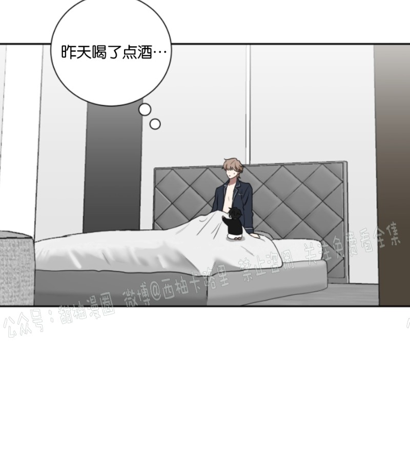 《我被大佬圈养了/如果和大哥恋爱/如果与帮派相恋》漫画最新章节第14话免费下拉式在线观看章节第【4】张图片