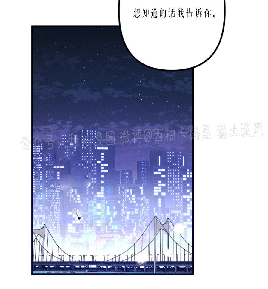 《代号：迷雾/代号雾》漫画最新章节第29话免费下拉式在线观看章节第【40】张图片