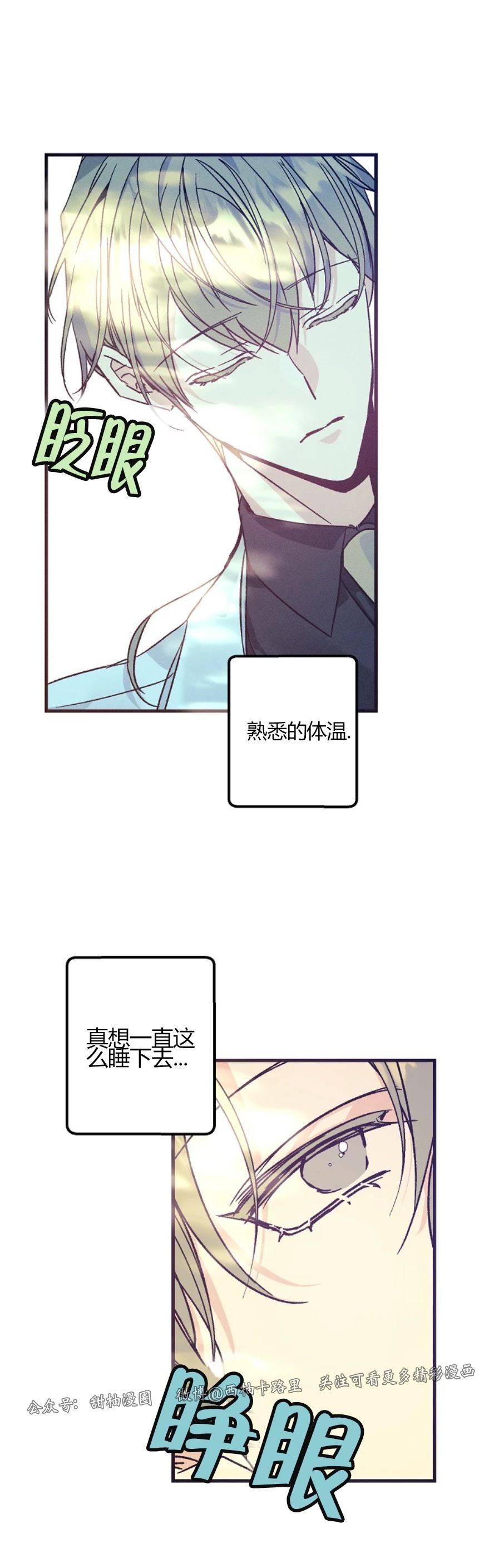 《代号：迷雾/代号雾》漫画最新章节第34话免费下拉式在线观看章节第【36】张图片