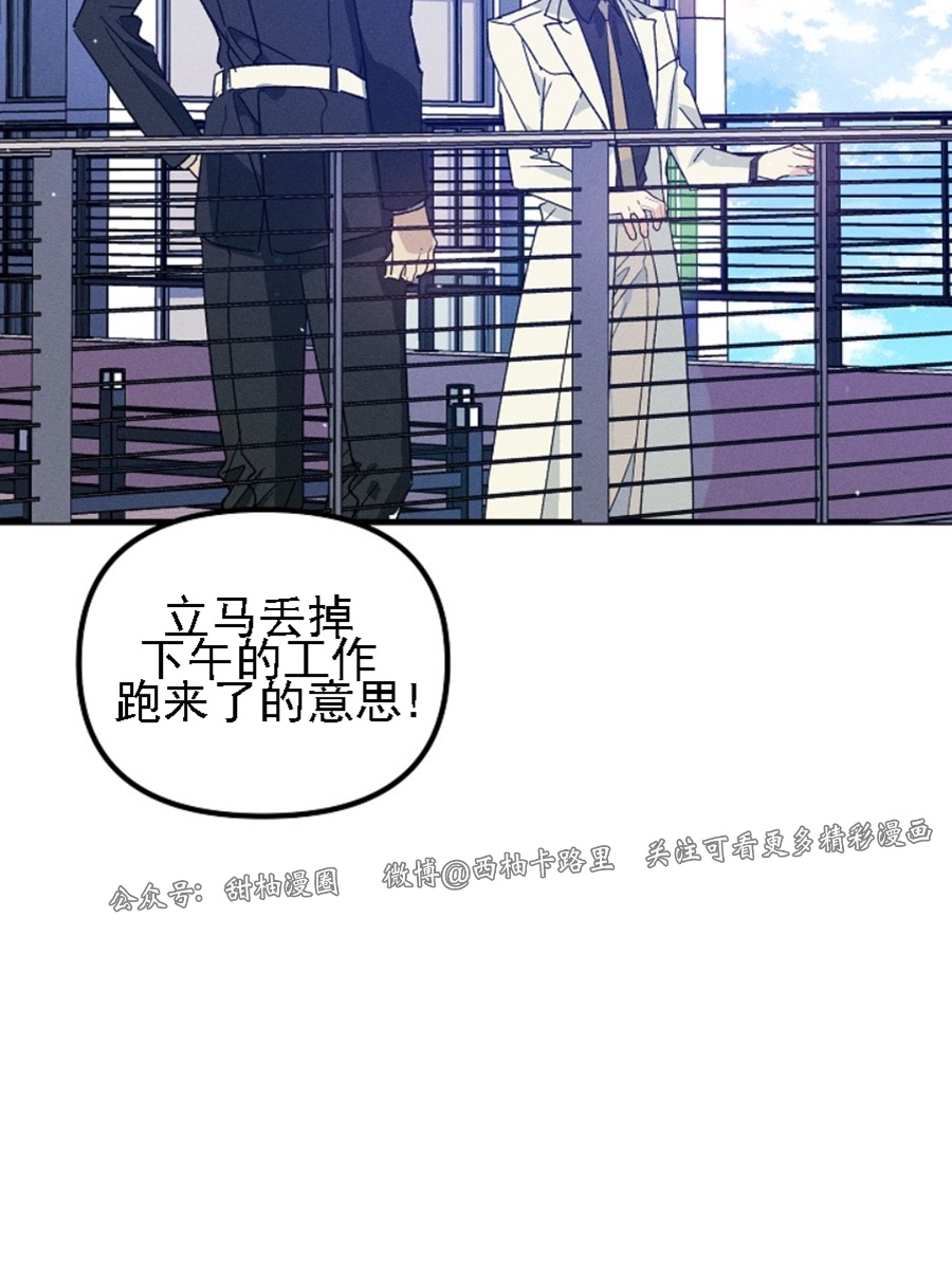 《代号：迷雾/代号雾》漫画最新章节第41话免费下拉式在线观看章节第【28】张图片