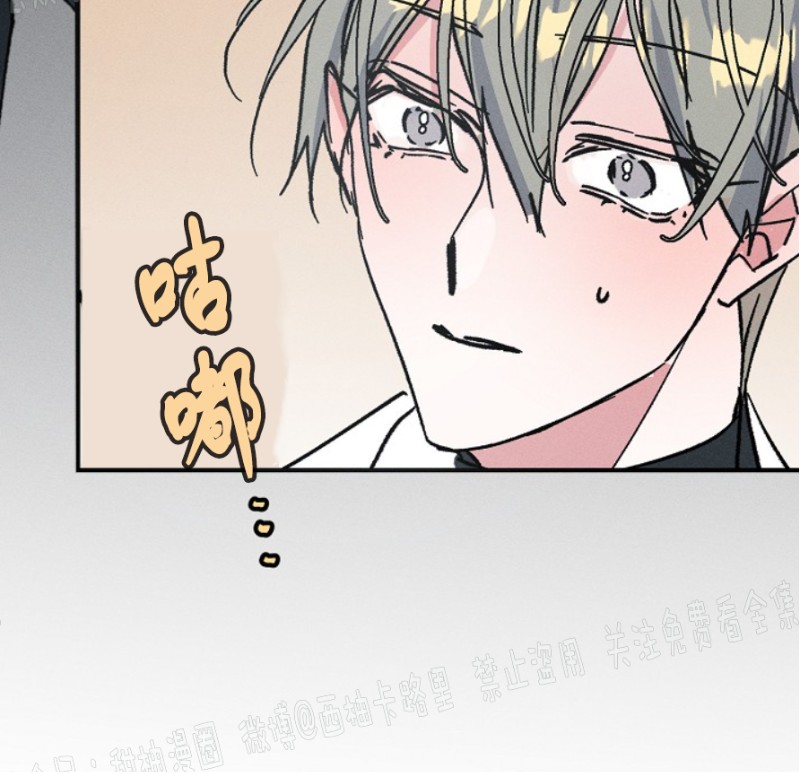 《代号：迷雾/代号雾》漫画最新章节第4话免费下拉式在线观看章节第【31】张图片