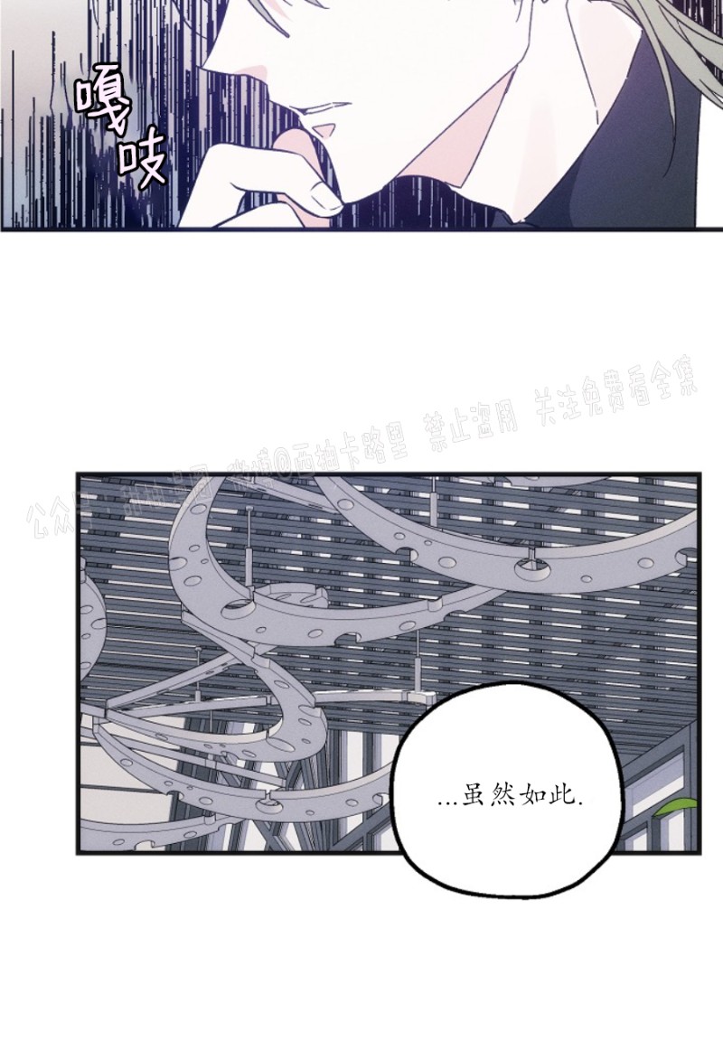 《代号：迷雾/代号雾》漫画最新章节第16话免费下拉式在线观看章节第【25】张图片