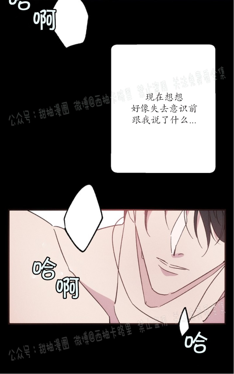 《代号：迷雾/代号雾》漫画最新章节第16话免费下拉式在线观看章节第【8】张图片