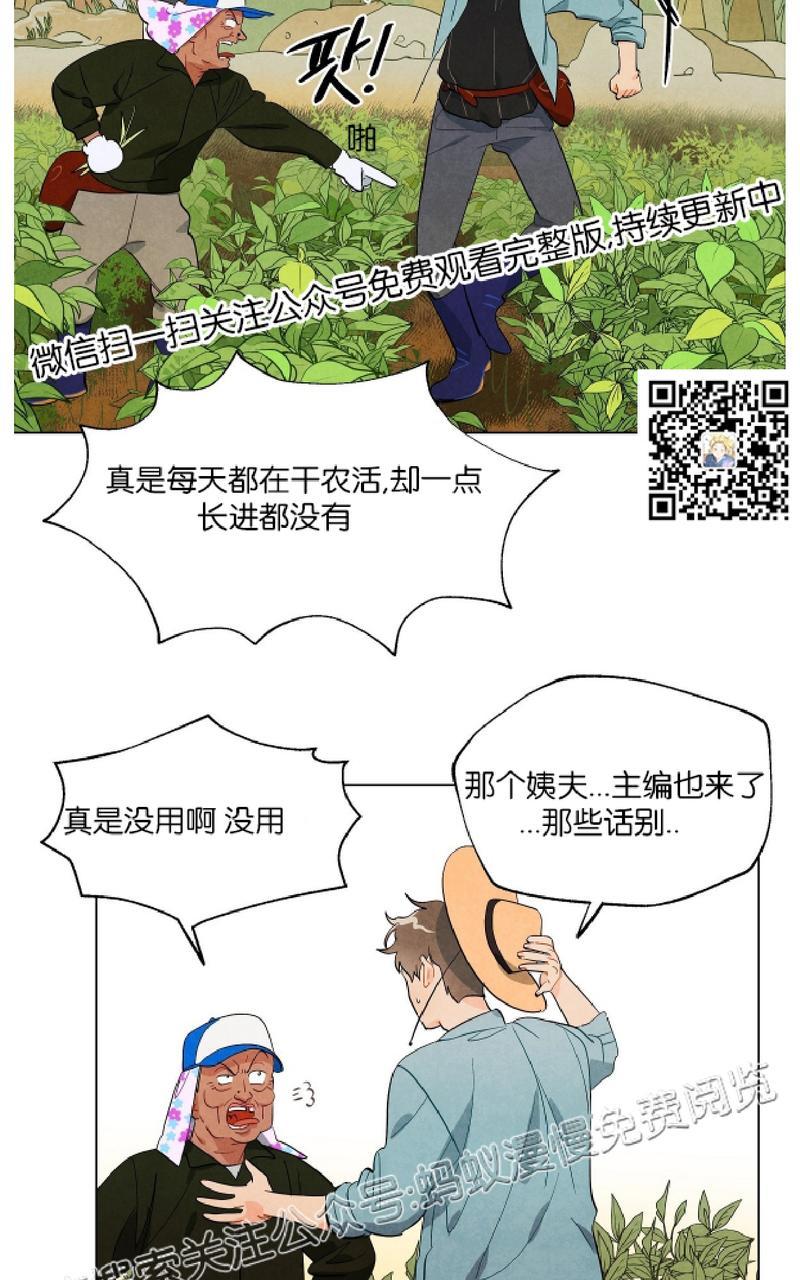 【觅食的狐狸[耽美]】漫画-（第6话）章节漫画下拉式图片-27.jpg