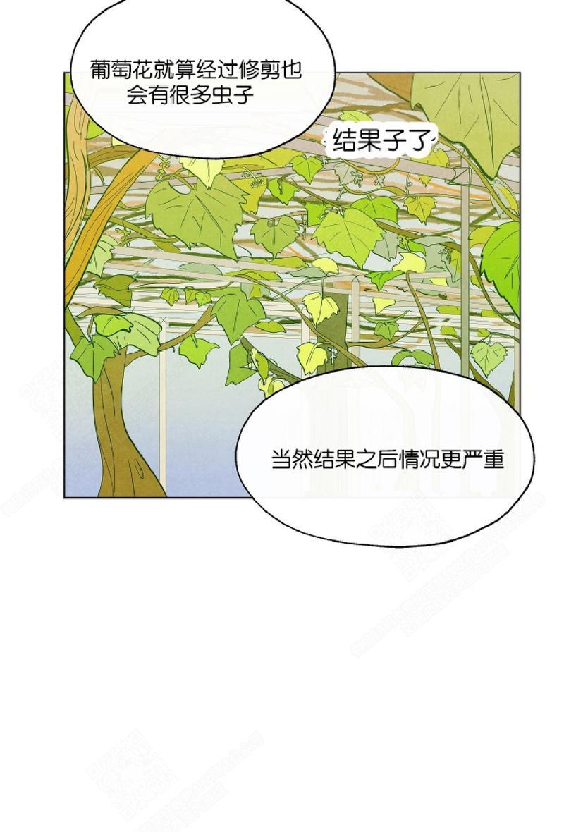 《觅食的狐狸》漫画最新章节第5话免费下拉式在线观看章节第【26】张图片