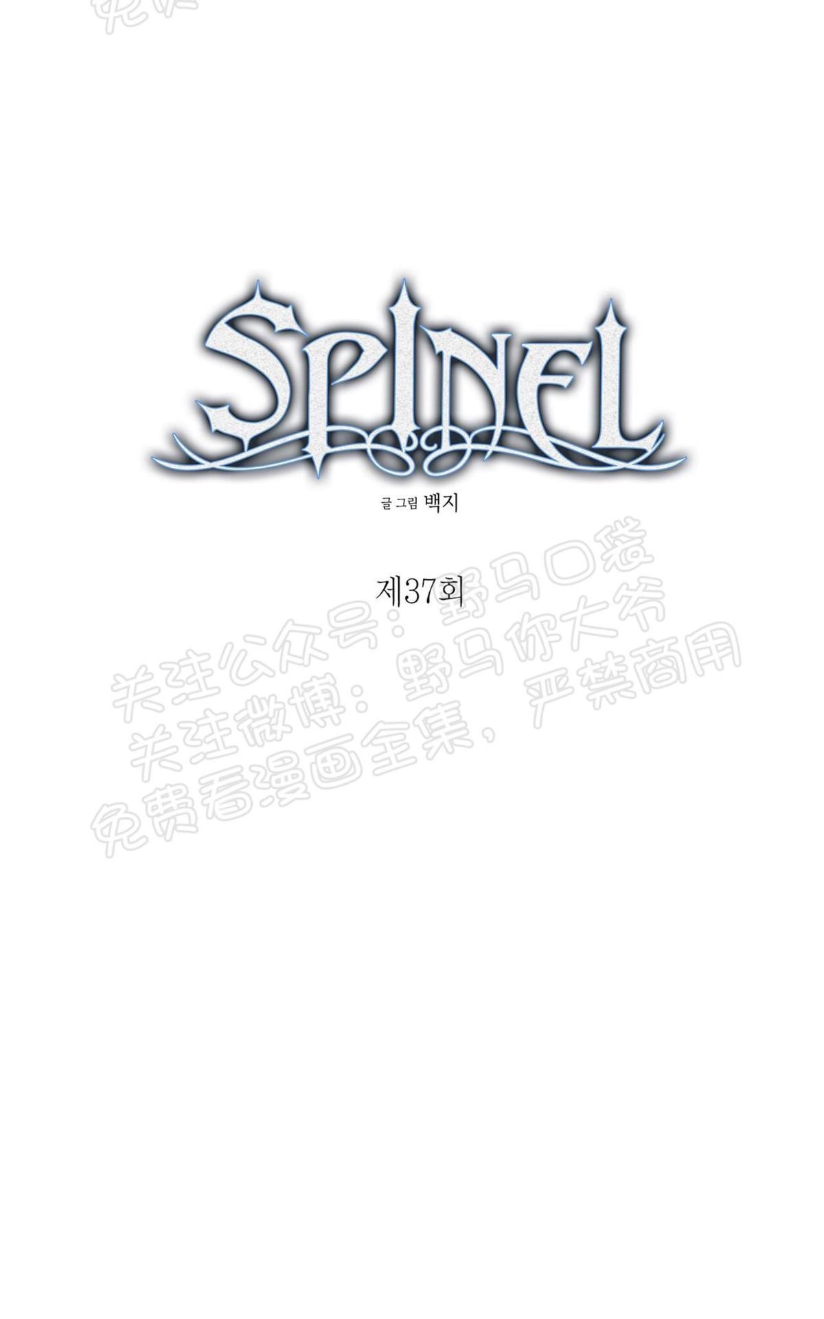 【Spinel/晶石公爵[腐漫]】漫画-（ 第37话 ）章节漫画下拉式图片-11.jpg