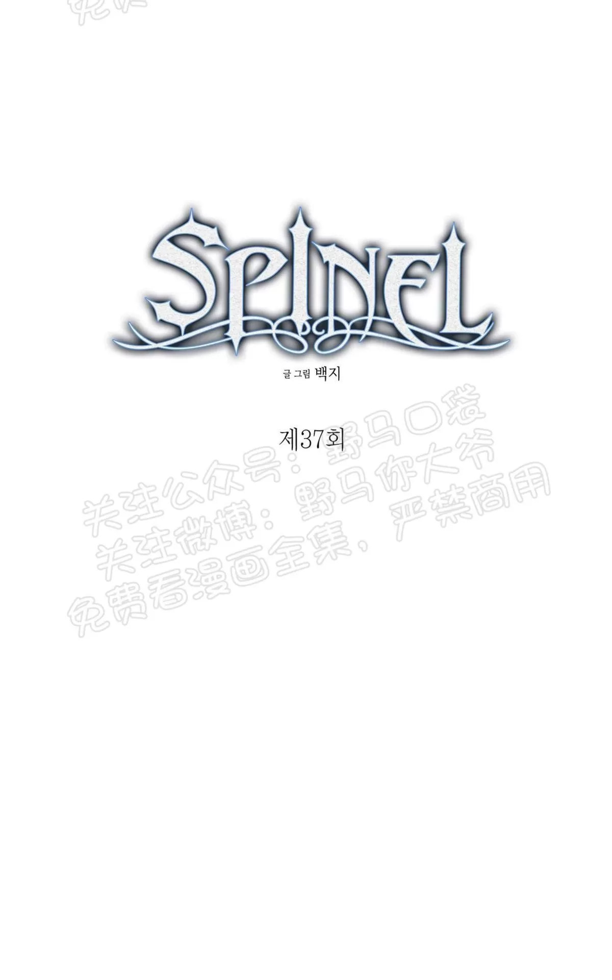【Spinel/晶石公爵[耽美]】漫画-（ 第37话 ）章节漫画下拉式图片-11.jpg