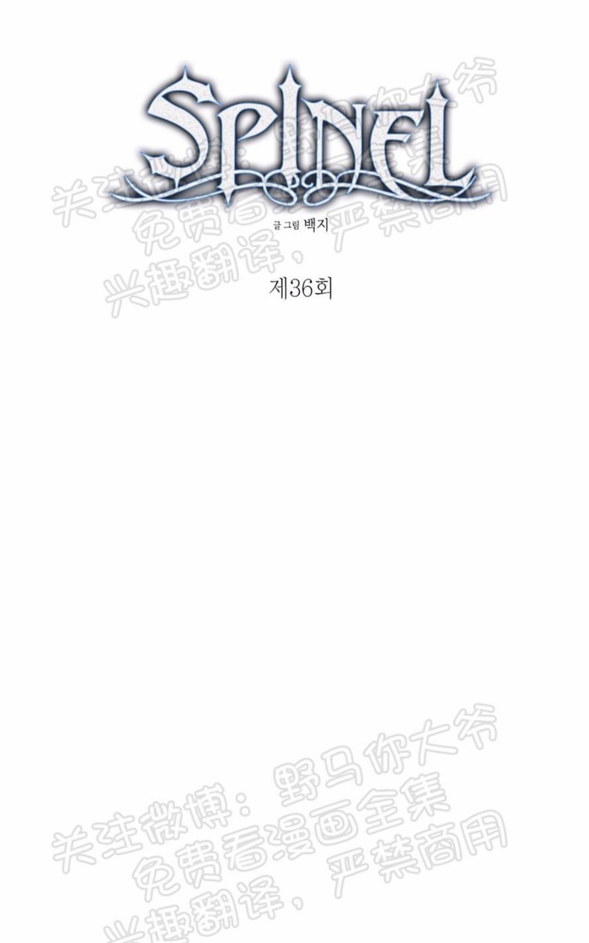 【Spinel/晶石公爵[腐漫]】漫画-（ 第36话 ）章节漫画下拉式图片-10.jpg