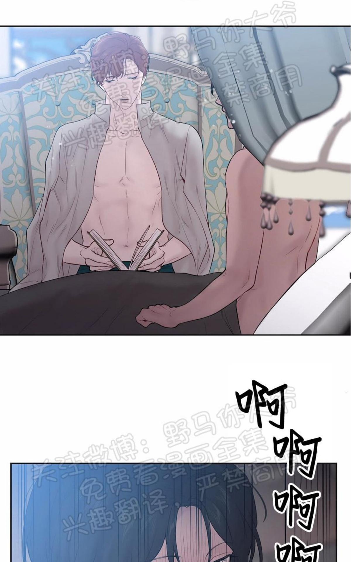 【Spinel/晶石公爵[腐漫]】漫画-（ 第36话 ）章节漫画下拉式图片-36.jpg