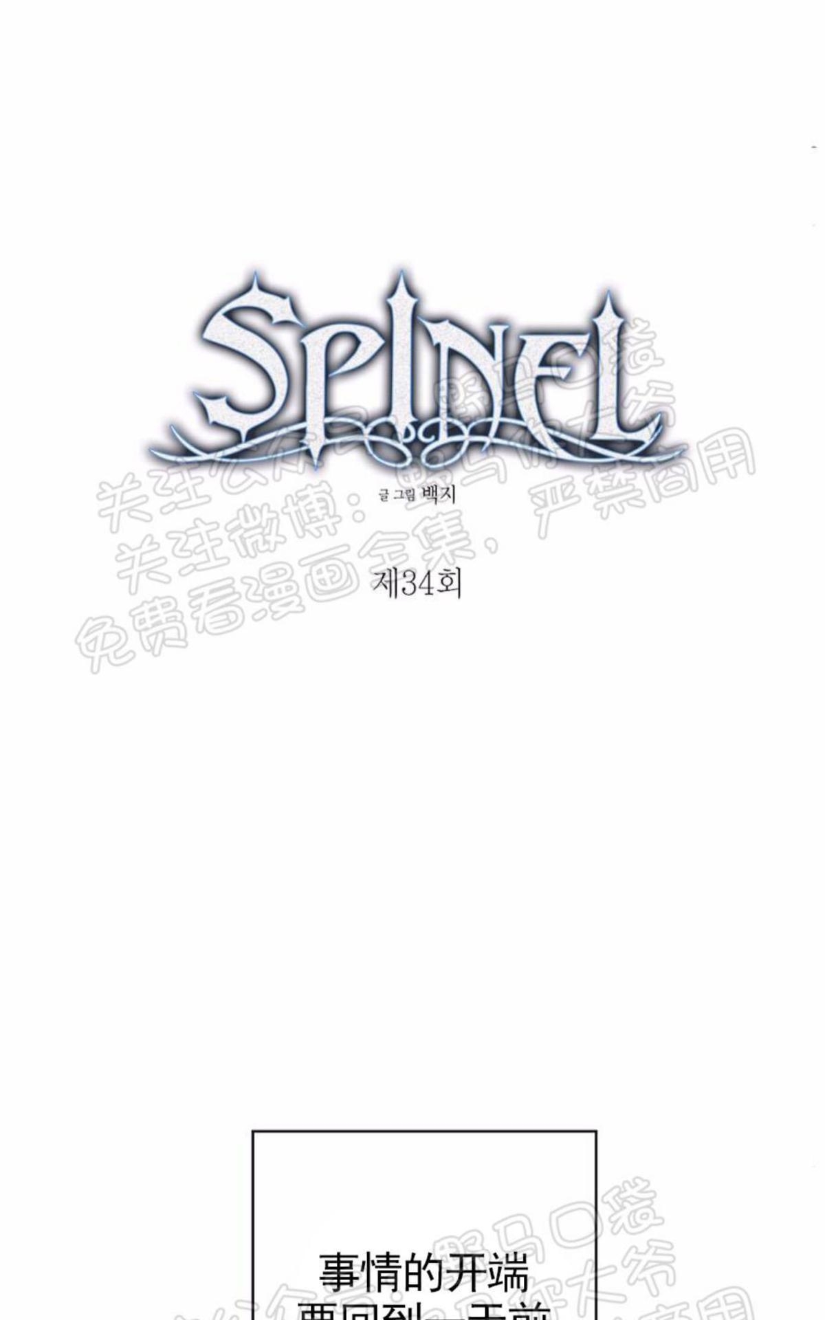 【Spinel/晶石公爵[腐漫]】漫画-（ 第34话 ）章节漫画下拉式图片-8.jpg